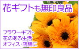 �Ԃ̃M�t�g�͂�����